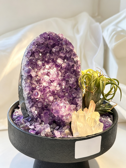Purple Abode Amethyst Geode Wealth & Protection Crystal Planter