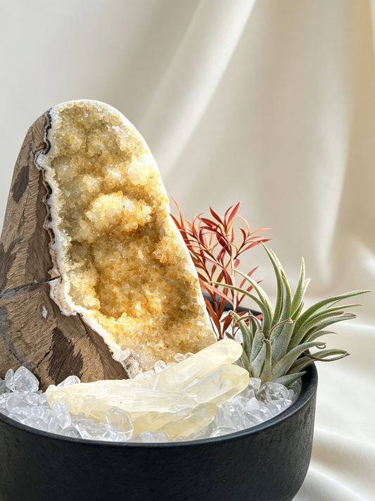 Golden Chalice Citrine Geode Wealth & Prosperity Crystal Landscape